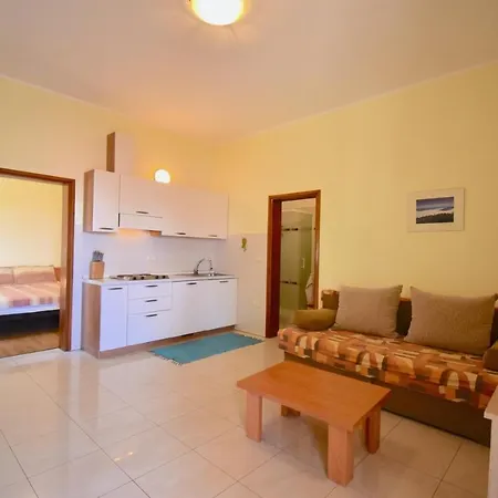 ゲストハウス Apartments Villa Danijela *